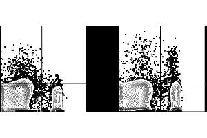 C57Bl/6 splenocytes were stained with FITC Anti-Mouse CD4 (ABIN6961584) and 0. (CD25 antibody  (PE-Cy5))