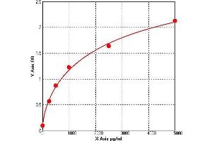 ELISA image for Ubiquitin (Ubiquitin) ELISA Kit (ABIN771282) (Ubiquitin ELISA Kit)