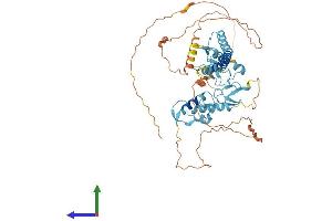 Protein Structure (PS) image for Ring Finger Protein 217 (RNF217) (AA 1-542) protein (His tag) (ABIN7551450)