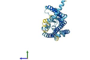 AlphaFold protein structure predicition of Human Recombinant OR9Q1 Protein, UniprotID Q8NGQ5 (OR9Q1 Protein (AA 1-310) (His tag))