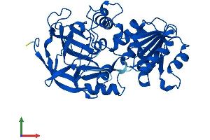 AlphaFold protein structure predicition of Mouse Recombinant Adh7 Protein, UniprotID Q64437 (ADH7 Protein (AA 1-374) (His tag))