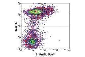 Flow Cytometry (FACS) image for anti-CD1d Molecule (CD1D) antibody (Pacific Blue) (ABIN2662220) (CD1d antibody  (Pacific Blue))