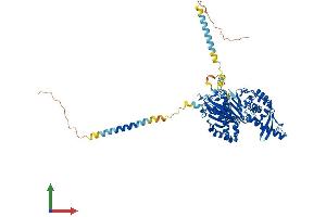 AlphaFold protein structure predicition of Human Recombinant ENTPD7 Protein, UniprotID Q9NQZ7