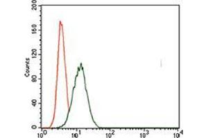 Flow Cytometry (FACS) image for anti-T Antigen (AA 257-309) antibody (ABIN1098136)