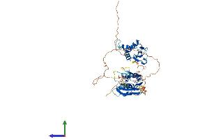 Protein Structure (PS) image for Interferon Regulatory Factor 4 (IRF4) (AA 1-450) protein (His tag) (ABIN7557820)