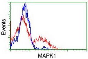 Flow Cytometry (FACS) image for anti-Mitogen-Activated Protein Kinase 1 (MAPK1) antibody (ABIN1499287)