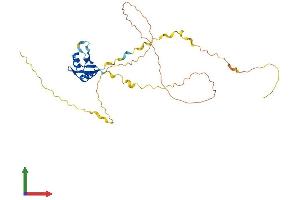 Protein Structure (PS) image for RNA-Binding Protein S1 (RNPS1) (AA 1-305) protein (His tag) (ABIN7555241)