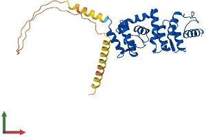 AlphaFold protein structure predicition of Mouse Recombinant Dcun1d4 Protein, UniprotID Q8CCA0 (DCUN1D4 Protein (AA 1-292) (His tag))