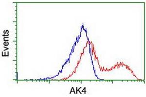 HEK293T cells transfected with either RC220572 overexpress plasmid (Red) or empty vector control plasmid (Blue) were immunostained by anti-AK4 antibody (ABIN2454911), and then analyzed by flow cytometry. (AK4 antibody)