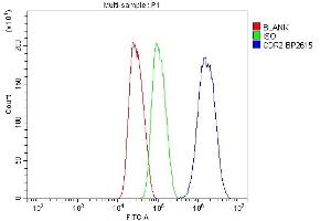 Flow Cytometry analysis of HepG2 cells using anti-CDR2 antibody (ABIN7599397).