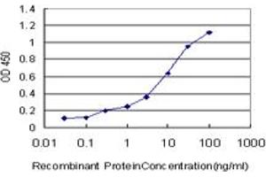 Detection limit for recombinant GST tagged MAGI1 is approximately 0. (MAGI1 antibody  (AA 761-859))