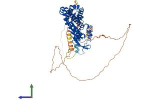 AlphaFold protein structure predicition of Human Recombinant ZDHHC14 Protein, UniprotID Q8IZN3 (ZDHHC14 Protein (AA 1-488) (His tag))