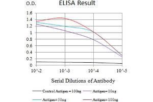 Black line: Control Antigen (100 ng),Purple line: Antigen (10 ng), Blue line: Antigen (50 ng), Red line:Antigen (100 ng) (CHRNB3 antibody  (AA 25-232))