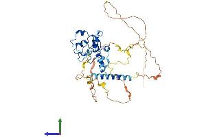 AlphaFold protein structure predicition of Mouse Recombinant Cdca7 Protein, UniprotID Q9D0M2