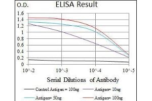 Black line: Control Antigen (100 ng), Purple line: Antigen(10 ng), Blue line: Antigen (50 ng), Red line: Antigen (100 ng), (PPY antibody  (AA 1-95))
