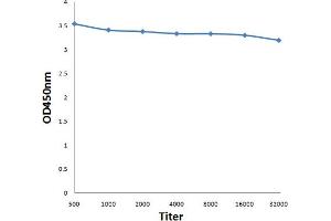 Antigen: 0. (ROR1 antibody  (AA 301-360))