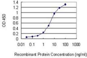 Detection limit for recombinant GST tagged NAGK is 0. (NAGK antibody  (AA 1-344))