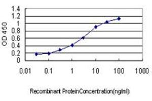 Detection limit for recombinant GST tagged GDF7 is approximately 0. (GDF7 antibody  (AA 361-450))