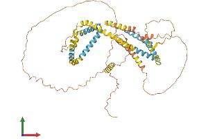 AlphaFold protein structure predicition of Human Recombinant PLIN1 Protein, UniprotID O60240