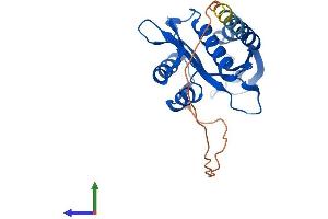 AlphaFold protein structure predicition of Mouse Recombinant Naa11 Protein, UniprotID Q3UX61 (NAA11 Protein (AA 1-218) (His tag))