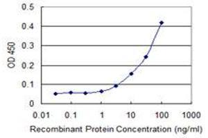Detection limit for recombinant GST tagged SNAPIN is 1 ng/ml as a capture antibody. (SNAPIN antibody  (AA 41-136))