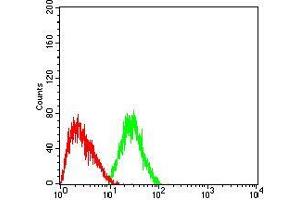 Flow cytometric analysis of HepG2 cells using DNMT3L mouse mAb (green) and negative control (red). (DNMT3L antibody  (AA 147-386))