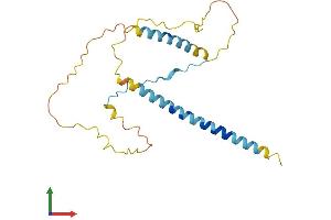 Protein Structure (PS) image for Estrogen Receptor Binding Site Associated, Antigen, 9 (EBAG9) (AA 1-213) protein (His tag) (ABIN7551316)