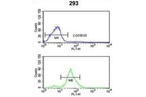 Flow Cytometry (FACS) image for anti-Tetraspanin 12 (TSPAN12) antibody (ABIN3003872) (TSPAN12 antibody)