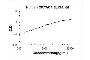 Cartilage Acidic Protein 1 (CRTAC1) ELISA Kit