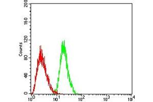 Flow cytometric analysis of HL-60 cells using CD218A mouse mAb (green) and negative control (red). (IL18R1 antibody  (AA 22-185))