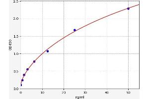 TPI1 ELISA Kit