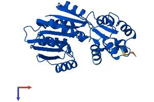 HNMT Protein (AA 1-292) (His tag)