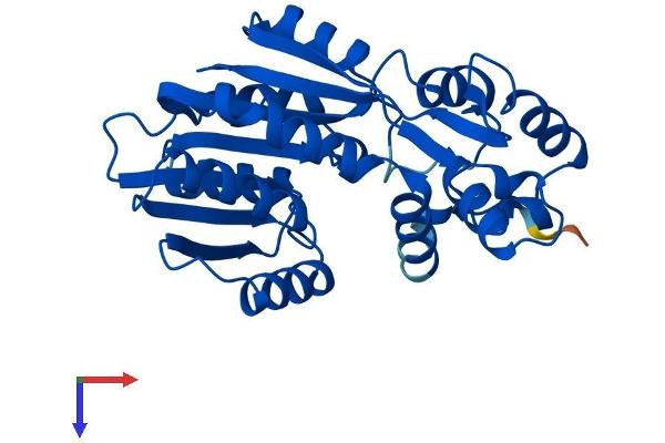 HNMT Protein (AA 1-292) (His tag)