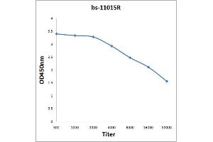 Antigen: 2 µg/100 µL  Primary: Antiserum, 1:500, 1:1000, 1:2000, 1:4000, 1:8000, 1:16000, 1:32000;  Secondary: HRP conjugated Rabbit Anti-Goat IgG at 1: 5000;  TMB staining Read the data in Microplate Reader by 450nm. (BFSP2 antibody  (AA 181-280))