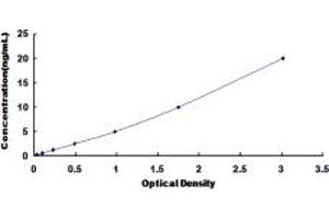 Typical standard curve (PYGM ELISA Kit)