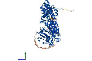 AlphaFold protein structure predicition of Mouse Recombinant Klhl14 Protein, UniprotID Q69ZK5 (KLHL14 Protein (AA 1-630) (His tag))