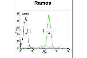 Flow cytometric analysis of Ramos cells (right histogram) compared to a negative control cell (left histogram). (DCP1B antibody  (AA 261-290))