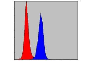 Flow cytometric analysis of NIH/3T3 cells using PKN2 monoclonal antobody, clone 1D1  (blue) and negative control (red).