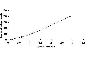 Typical standard curve