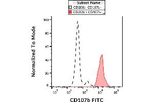 Flow cytometry analysis (surface staining) of IgE-stimulated human peripheral blood with anti-CD107b (H4B4) FITC. (LAMP2 antibody  (FITC))