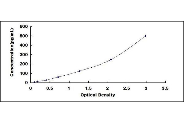 IFNB1 ELISA Kit