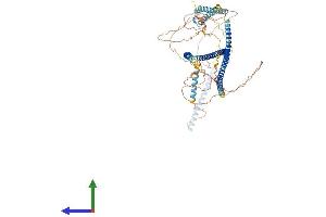AlphaFold protein structure predicition of Human Recombinant CEP85 Protein, UniprotID Q6P2H3 (CEP85 Protein (AA 1-762) (His tag))