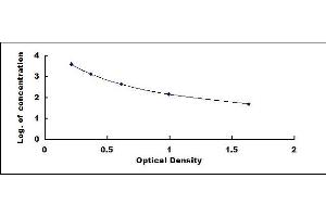 Typical standard curve (Kallikrein 1 ELISA Kit)