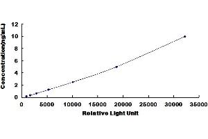 Typical Standard Curve for Mouse LRRC3C CLIA.