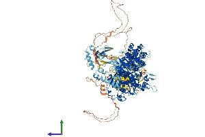 AlphaFold protein structure predicition of Human Recombinant MSH6 Protein, UniprotID P52701 (MSH6 Protein (AA 1-1360) (His tag))