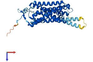 AlphaFold protein structure predicition of Mouse Recombinant Taar8b Protein, UniprotID Q5QD06 (TAAR8B Protein (AA 1-344) (His tag))