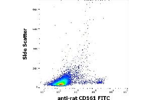 Flow cytometry surface staining pattern of rat splenocytes stained using anti-rat CD161 (10/78) FITC antibody (concentration in sample 1 μg/mL). (CD161 antibody  (FITC))