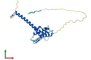 AlphaFold protein structure predicition of Mouse Recombinant Tma16 Protein, UniprotID Q9CR02 (C4orf43 Protein (AA 1-221) (His tag))