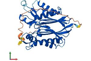 AlphaFold protein structure predicition of Mouse Recombinant Pptc7 Protein, UniprotID Q6NVE9 (PPTC7 Protein (AA 1-310) (His tag))