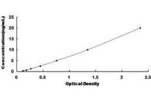 ELISA image for Eosinophil Cationic Protein (ECP) ELISA Kit (ABIN1117834) (RNASE3 ELISA Kit)